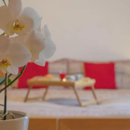 Hotel Meuble Rosalpina Isolaccia