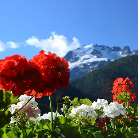 Meuble Rosalpina Hotel